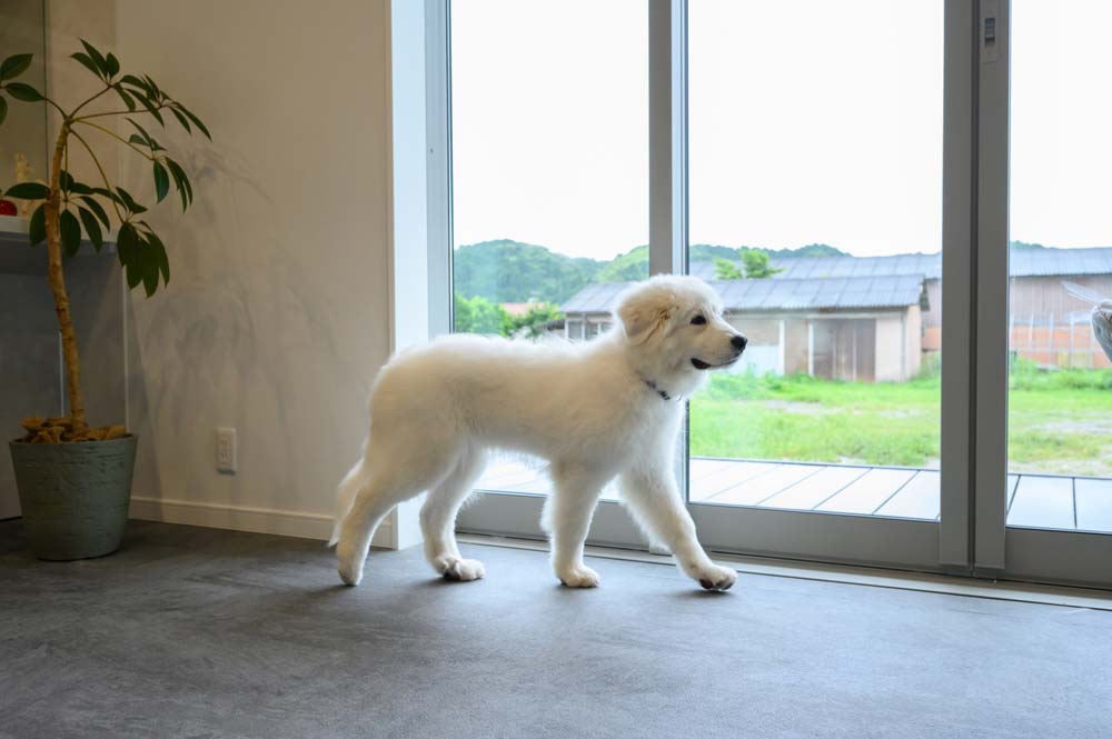 建築事例 多気郡多気町 2022.07